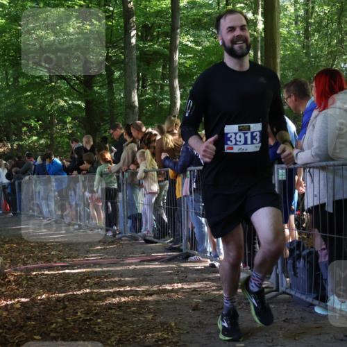 28.09.2025 - 33. Volkslauf durch das schöne Alstertal Strokosch-Dieckow http://msf.ph/oto/8965360 28.09.2025 11:22:51 Ziel 3042, 3913, 3941 meine-sportfotos.de
