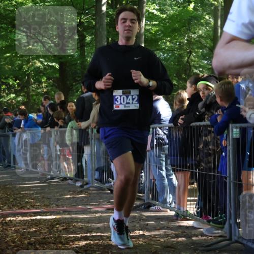 28.09.2025 - 33. Volkslauf durch das schöne Alstertal Strokosch-Dieckow http://msf.ph/oto/8965365 28.09.2025 11:23:00 Ziel 3042, 3418, 3941 meine-sportfotos.de