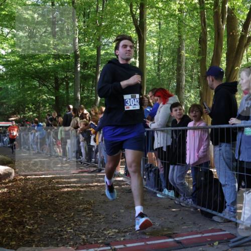 28.09.2025 - 33. Volkslauf durch das schöne Alstertal Strokosch-Dieckow http://msf.ph/oto/8965366 28.09.2025 11:23:01 Ziel 3042, 3418 meine-sportfotos.de