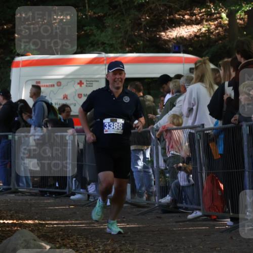 28.09.2025 - 33. Volkslauf durch das schöne Alstertal Strokosch-Dieckow http://msf.ph/oto/8965371 28.09.2025 11:23:07 Ziel 3388 meine-sportfotos.de