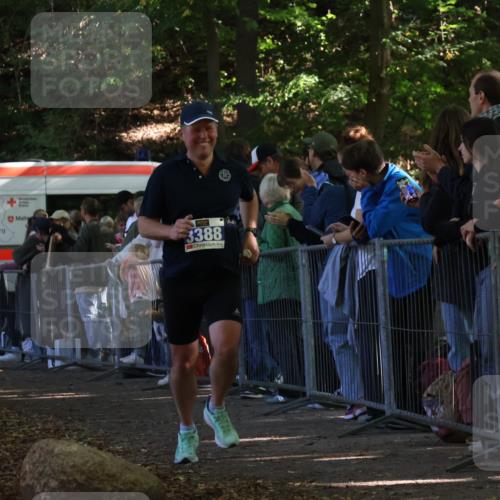 28.09.2025 - 33. Volkslauf durch das schöne Alstertal Strokosch-Dieckow http://msf.ph/oto/8965373 28.09.2025 11:23:09 Ziel 3388 meine-sportfotos.de