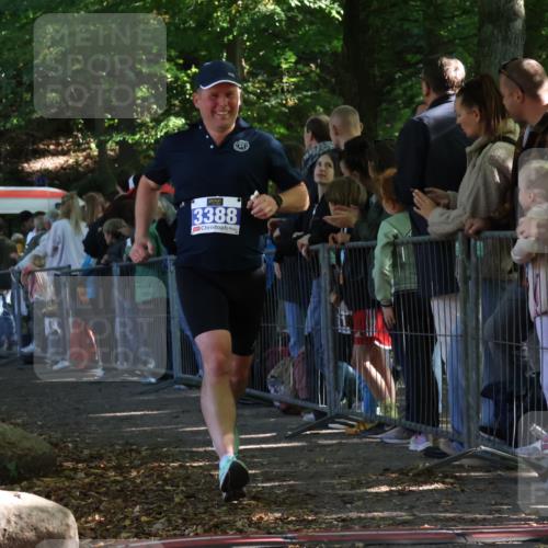 28.09.2025 - 33. Volkslauf durch das schöne Alstertal Strokosch-Dieckow http://msf.ph/oto/8965375 28.09.2025 11:23:10 Ziel 3388 meine-sportfotos.de