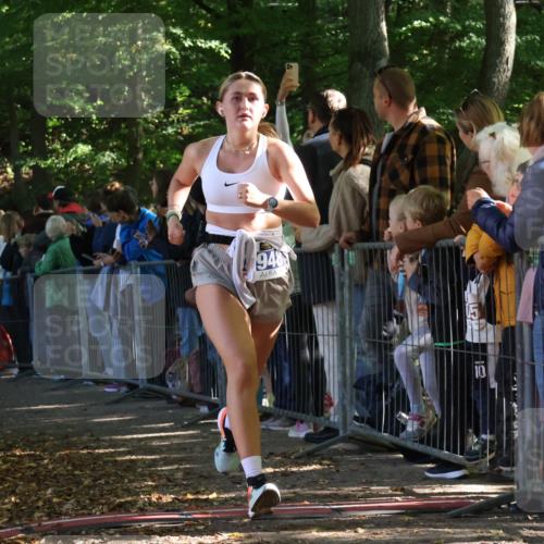 28.09.2025 - 33. Volkslauf durch das schöne Alstertal Strokosch-Dieckow http://msf.ph/oto/8965402 28.09.2025 11:23:35 Ziel 3248, 3929, 3931, 3948 meine-sportfotos.de