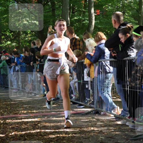 28.09.2025 - 33. Volkslauf durch das schöne Alstertal Strokosch-Dieckow http://msf.ph/oto/8965403 28.09.2025 11:23:36 Ziel 3929, 3931, 3948 meine-sportfotos.de