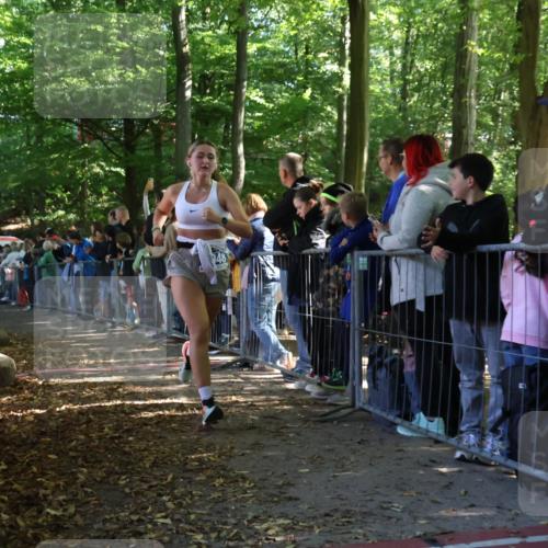28.09.2025 - 33. Volkslauf durch das schöne Alstertal Strokosch-Dieckow http://msf.ph/oto/8965404 28.09.2025 11:23:36 Ziel 3929, 3931, 3948 meine-sportfotos.de