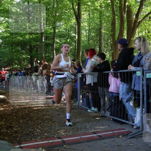 28.09.2025 - 33. Volkslauf durch das schöne Alstertal Strokosch-Dieckow http://msf.ph/oto/8965405 28.09.2025 11:23:36 Ziel 3929, 3931, 3948 meine-sportfotos.de