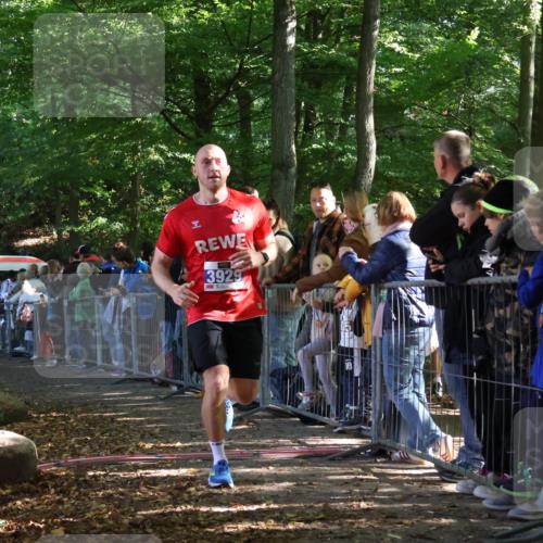 28.09.2025 - 33. Volkslauf durch das schöne Alstertal Strokosch-Dieckow http://msf.ph/oto/8965407 28.09.2025 11:23:39 Ziel 3133, 3202, 3929, 3931 meine-sportfotos.de