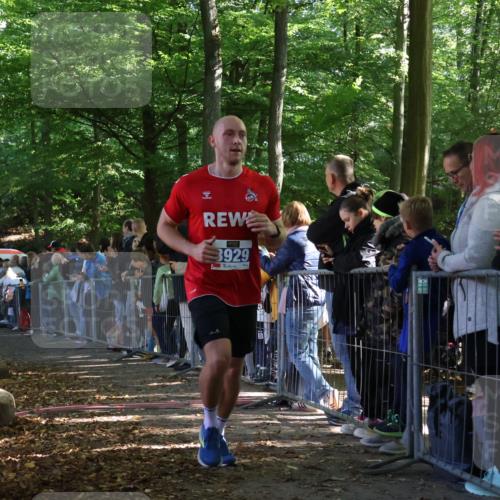 28.09.2025 - 33. Volkslauf durch das schöne Alstertal Strokosch-Dieckow http://msf.ph/oto/8965408 28.09.2025 11:23:40 Ziel 3133, 3202, 3929, 3931 meine-sportfotos.de