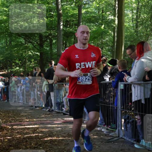28.09.2025 - 33. Volkslauf durch das schöne Alstertal Strokosch-Dieckow http://msf.ph/oto/8965409 28.09.2025 11:23:40 Ziel 3133, 3202, 3929, 3931 meine-sportfotos.de
