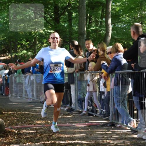 28.09.2025 - 33. Volkslauf durch das schöne Alstertal Strokosch-Dieckow http://msf.ph/oto/8965413 28.09.2025 11:23:43 Ziel 3133, 3202, 3931 meine-sportfotos.de