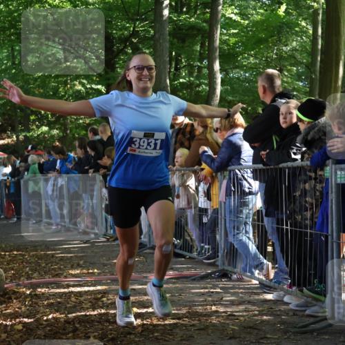 28.09.2025 - 33. Volkslauf durch das schöne Alstertal Strokosch-Dieckow http://msf.ph/oto/8965414 28.09.2025 11:23:44 Ziel 3133, 3202, 3931 meine-sportfotos.de