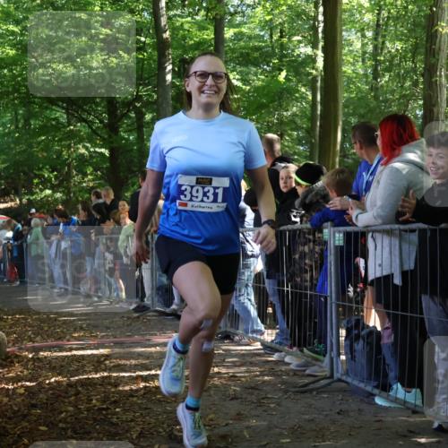 28.09.2025 - 33. Volkslauf durch das schöne Alstertal Strokosch-Dieckow http://msf.ph/oto/8965415 28.09.2025 11:23:44 Ziel 3133, 3202, 3931 meine-sportfotos.de