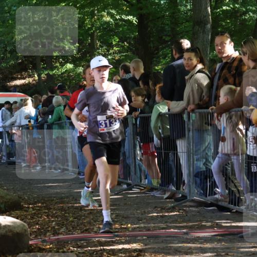 28.09.2025 - 33. Volkslauf durch das schöne Alstertal Strokosch-Dieckow http://msf.ph/oto/8965418 28.09.2025 11:23:47 Ziel 3133, 3202, 3414, 3904 meine-sportfotos.de