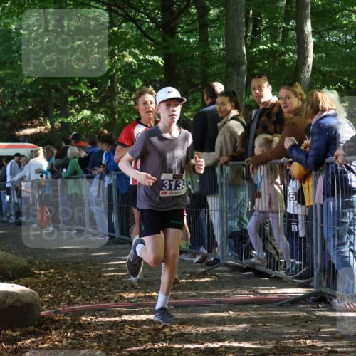 28.09.2025 - 33. Volkslauf durch das schöne Alstertal Strokosch-Dieckow http://msf.ph/oto/8965419 28.09.2025 11:23:47 Ziel 3133, 3202, 3414, 3904 meine-sportfotos.de