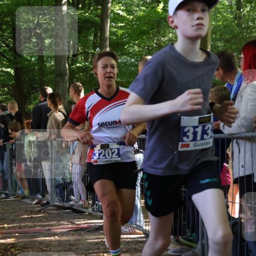 28.09.2025 - 33. Volkslauf durch das schöne Alstertal Strokosch-Dieckow http://msf.ph/oto/8965421 28.09.2025 11:23:48 Ziel 3133, 3202, 3414, 3904 meine-sportfotos.de