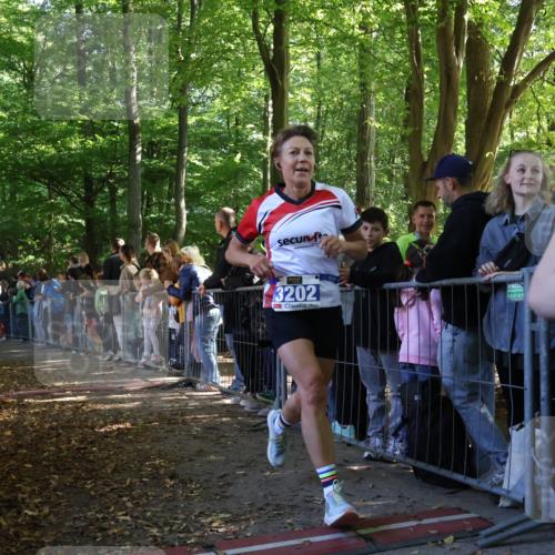 28.09.2025 - 33. Volkslauf durch das schöne Alstertal Strokosch-Dieckow http://msf.ph/oto/8965422 28.09.2025 11:23:49 Ziel 3133, 3202, 3414, 3904 meine-sportfotos.de