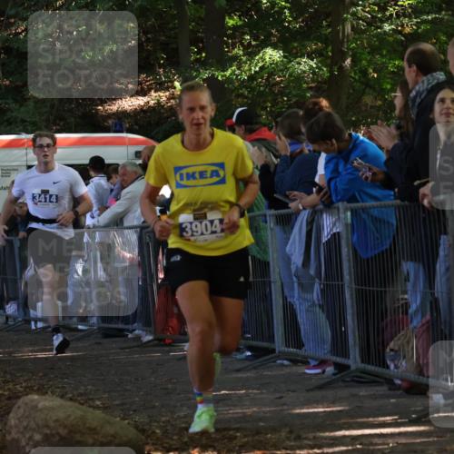 28.09.2025 - 33. Volkslauf durch das schöne Alstertal Strokosch-Dieckow http://msf.ph/oto/8965424 28.09.2025 11:23:52 Ziel 3414, 3904 meine-sportfotos.de
