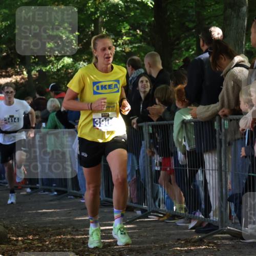 28.09.2025 - 33. Volkslauf durch das schöne Alstertal Strokosch-Dieckow http://msf.ph/oto/8965425 28.09.2025 11:23:53 Ziel 3414, 3904 meine-sportfotos.de