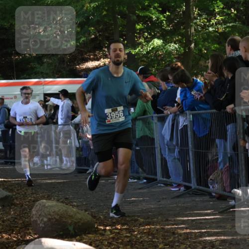 28.09.2025 - 33. Volkslauf durch das schöne Alstertal Strokosch-Dieckow http://msf.ph/oto/8965433 28.09.2025 11:24:02 Ziel 3188, 3287, 3922, 3956 meine-sportfotos.de