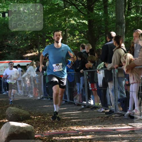 28.09.2025 - 33. Volkslauf durch das schöne Alstertal Strokosch-Dieckow http://msf.ph/oto/8965434 28.09.2025 11:24:03 Ziel 3188, 3287, 3922, 3942, 3956 meine-sportfotos.de