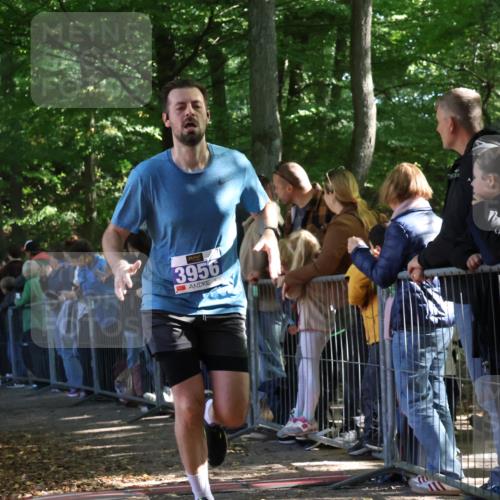 28.09.2025 - 33. Volkslauf durch das schöne Alstertal Strokosch-Dieckow http://msf.ph/oto/8965436 28.09.2025 11:24:04 Ziel 3188, 3287, 3922, 3942, 3956 meine-sportfotos.de