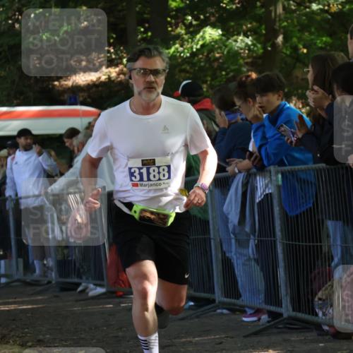28.09.2025 - 33. Volkslauf durch das schöne Alstertal Strokosch-Dieckow http://msf.ph/oto/8965437 28.09.2025 11:24:05 Ziel 3188, 3287, 3922, 3942, 3956 meine-sportfotos.de
