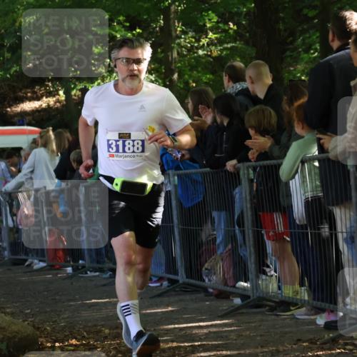 28.09.2025 - 33. Volkslauf durch das schöne Alstertal Strokosch-Dieckow http://msf.ph/oto/8965438 28.09.2025 11:24:06 Ziel 3188, 3287, 3922, 3942, 3956 meine-sportfotos.de