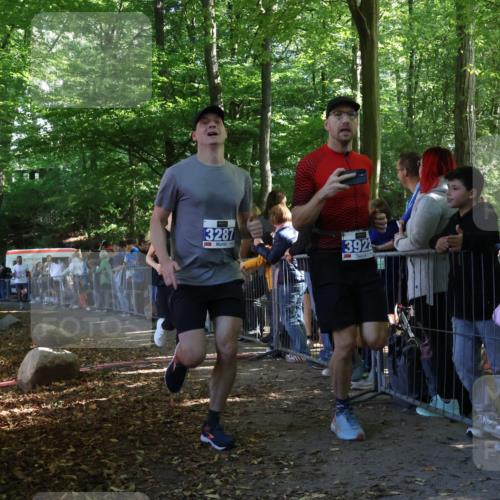 28.09.2025 - 33. Volkslauf durch das schöne Alstertal Strokosch-Dieckow http://msf.ph/oto/8965446 28.09.2025 11:24:12 Ziel 3032, 3287, 3922, 3942 meine-sportfotos.de