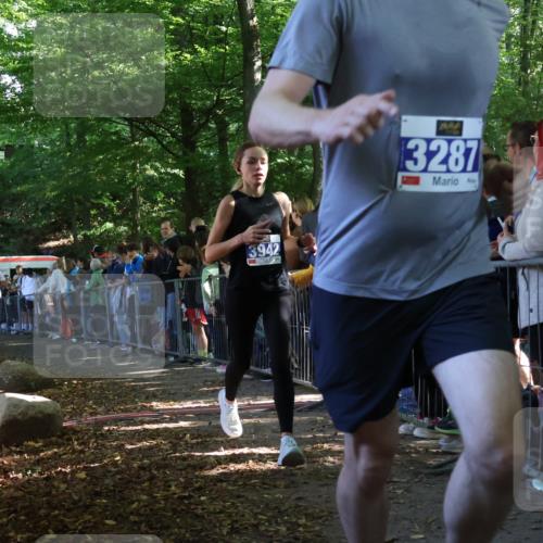 28.09.2025 - 33. Volkslauf durch das schöne Alstertal Strokosch-Dieckow http://msf.ph/oto/8965447 28.09.2025 11:24:12 Ziel 3032, 3287, 3922, 3942 meine-sportfotos.de