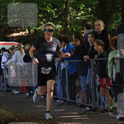 28.09.2025 - 33. Volkslauf durch das schöne Alstertal Strokosch-Dieckow http://msf.ph/oto/8965463 28.09.2025 11:24:26 Ziel 3220, 3285, 3380, 3382 meine-sportfotos.de