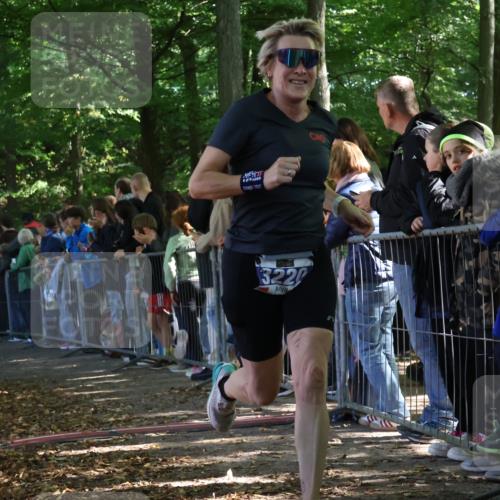 28.09.2025 - 33. Volkslauf durch das schöne Alstertal Strokosch-Dieckow http://msf.ph/oto/8965468 28.09.2025 11:24:27 Ziel 3220, 3285, 3380, 3382 meine-sportfotos.de