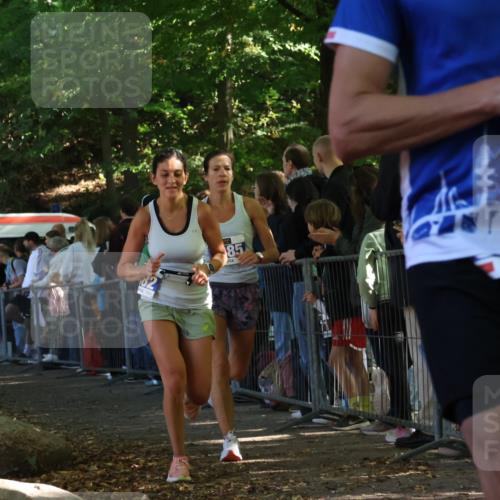 28.09.2025 - 33. Volkslauf durch das schöne Alstertal Strokosch-Dieckow http://msf.ph/oto/8965475 28.09.2025 11:24:33 Ziel 3285, 3314, 3380, 3382 meine-sportfotos.de