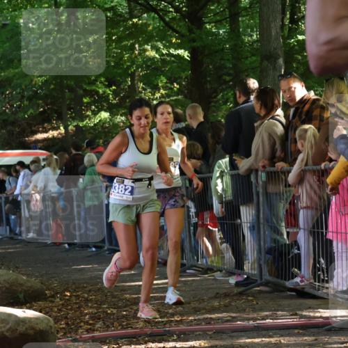 28.09.2025 - 33. Volkslauf durch das schöne Alstertal Strokosch-Dieckow http://msf.ph/oto/8965476 28.09.2025 11:24:33 Ziel 3285, 3314, 3380, 3382 meine-sportfotos.de