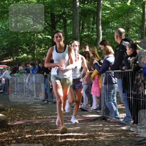 28.09.2025 - 33. Volkslauf durch das schöne Alstertal Strokosch-Dieckow http://msf.ph/oto/8965478 28.09.2025 11:24:34 Ziel 3285, 3314, 3382 meine-sportfotos.de