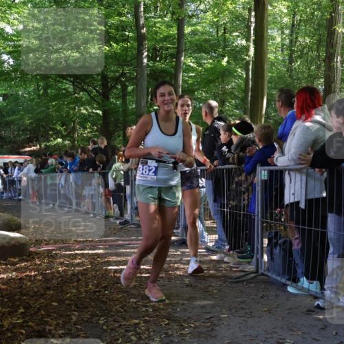 28.09.2025 - 33. Volkslauf durch das schöne Alstertal Strokosch-Dieckow http://msf.ph/oto/8965479 28.09.2025 11:24:35 Ziel 3285, 3314, 3382 meine-sportfotos.de