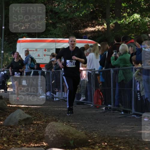28.09.2025 - 33. Volkslauf durch das schöne Alstertal Strokosch-Dieckow http://msf.ph/oto/8965488 28.09.2025 11:24:54 Ziel 3041, 3273, 3351 meine-sportfotos.de