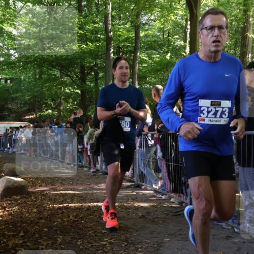 28.09.2025 - 33. Volkslauf durch das schöne Alstertal Strokosch-Dieckow http://msf.ph/oto/8965504 28.09.2025 11:25:04 Ziel 3273, 3280 meine-sportfotos.de