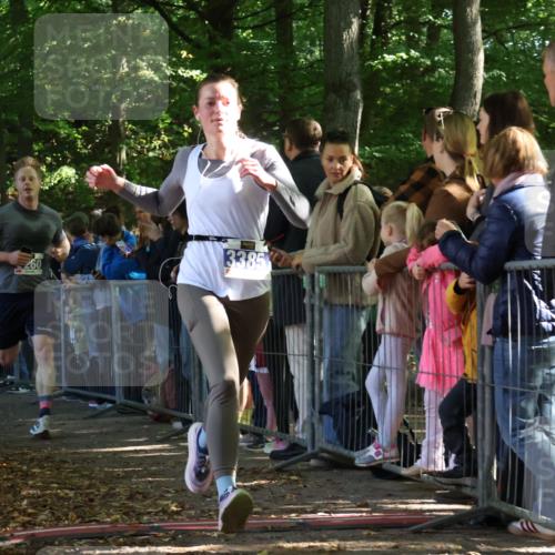 28.09.2025 - 33. Volkslauf durch das schöne Alstertal Strokosch-Dieckow http://msf.ph/oto/8965508 28.09.2025 11:25:15 Ziel 3260, 3385, 3408 meine-sportfotos.de