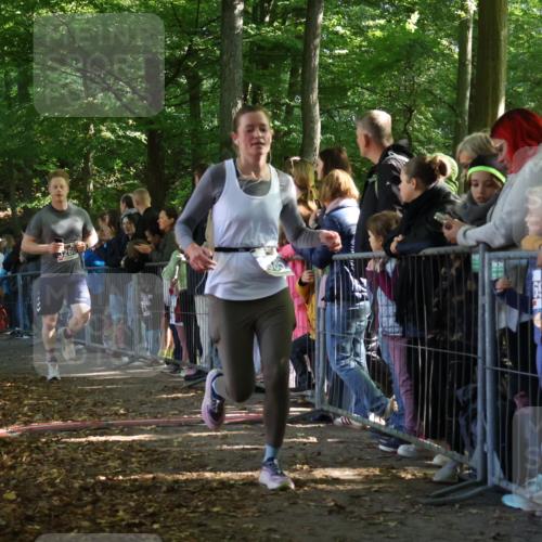 28.09.2025 - 33. Volkslauf durch das schöne Alstertal Strokosch-Dieckow http://msf.ph/oto/8965509 28.09.2025 11:25:16 Ziel 3260, 3385, 3408 meine-sportfotos.de