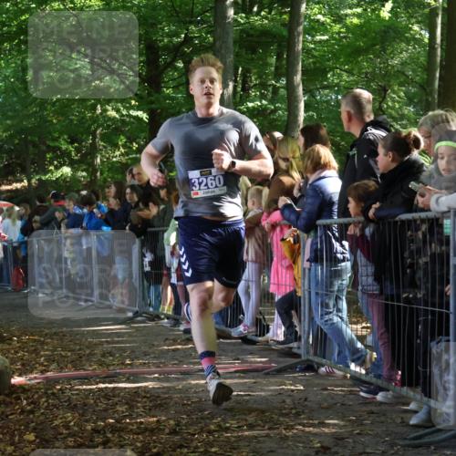 28.09.2025 - 33. Volkslauf durch das schöne Alstertal Strokosch-Dieckow http://msf.ph/oto/8965511 28.09.2025 11:25:17 Ziel 3260, 3385, 3408 meine-sportfotos.de
