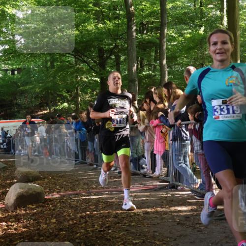 28.09.2025 - 33. Volkslauf durch das schöne Alstertal Strokosch-Dieckow http://msf.ph/oto/8965526 28.09.2025 11:25:35 Ziel 3118, 3152, 3319 meine-sportfotos.de
