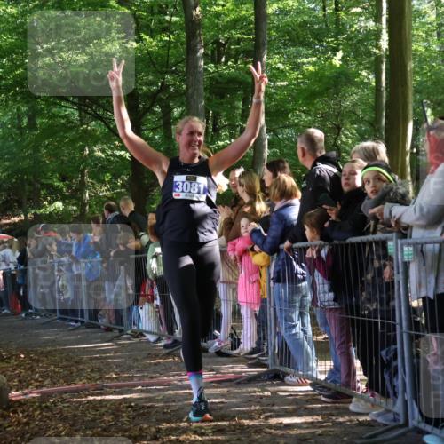 28.09.2025 - 33. Volkslauf durch das schöne Alstertal Strokosch-Dieckow http://msf.ph/oto/8965538 28.09.2025 11:25:47 Ziel 3081, 3093, 3155, 3187 meine-sportfotos.de