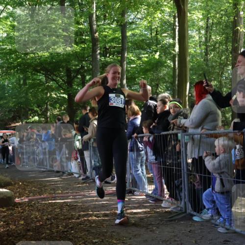 28.09.2025 - 33. Volkslauf durch das schöne Alstertal Strokosch-Dieckow http://msf.ph/oto/8965539 28.09.2025 11:25:47 Ziel 3081, 3093, 3155, 3187 meine-sportfotos.de