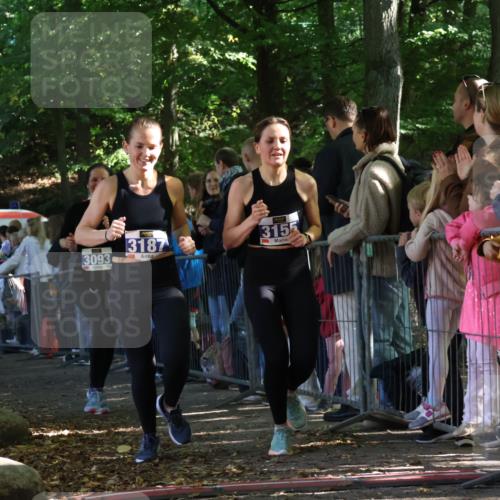 28.09.2025 - 33. Volkslauf durch das schöne Alstertal Strokosch-Dieckow http://msf.ph/oto/8965544 28.09.2025 11:25:51 Ziel 3093, 3155, 3187 meine-sportfotos.de