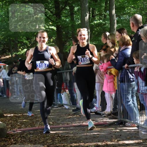 28.09.2025 - 33. Volkslauf durch das schöne Alstertal Strokosch-Dieckow http://msf.ph/oto/8965545 28.09.2025 11:25:52 Ziel 3093, 3155, 3187 meine-sportfotos.de