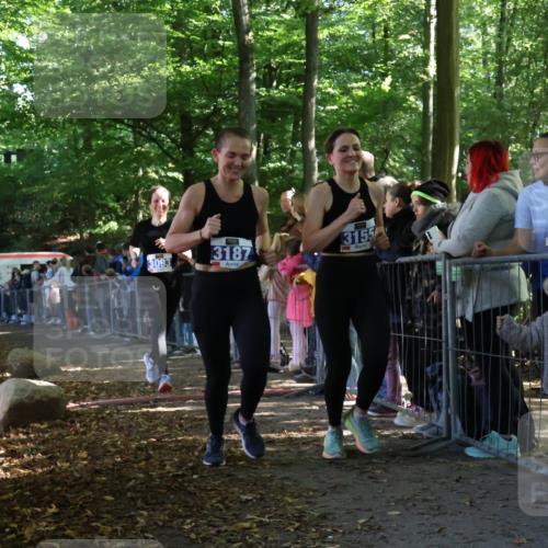 28.09.2025 - 33. Volkslauf durch das schöne Alstertal Strokosch-Dieckow http://msf.ph/oto/8965547 28.09.2025 11:25:52 Ziel 3093, 3155, 3187 meine-sportfotos.de