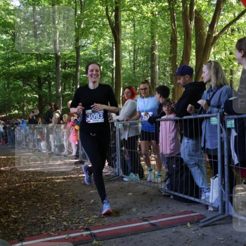 28.09.2025 - 33. Volkslauf durch das schöne Alstertal Strokosch-Dieckow http://msf.ph/oto/8965548 28.09.2025 11:25:54 Ziel 3093 meine-sportfotos.de