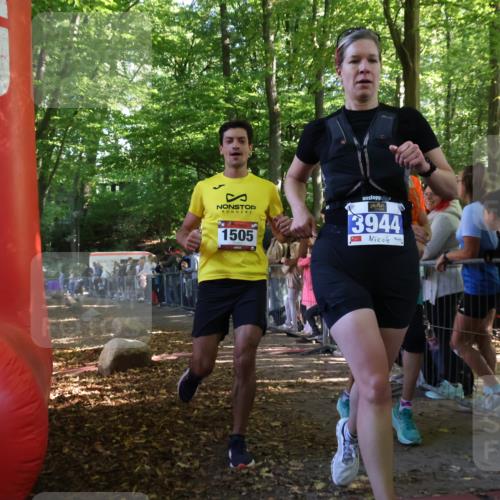 28.09.2025 - 33. Volkslauf durch das schöne Alstertal Strokosch-Dieckow http://msf.ph/oto/8965558 28.09.2025 11:26:09 Ziel 1505, 3935, 3944 meine-sportfotos.de