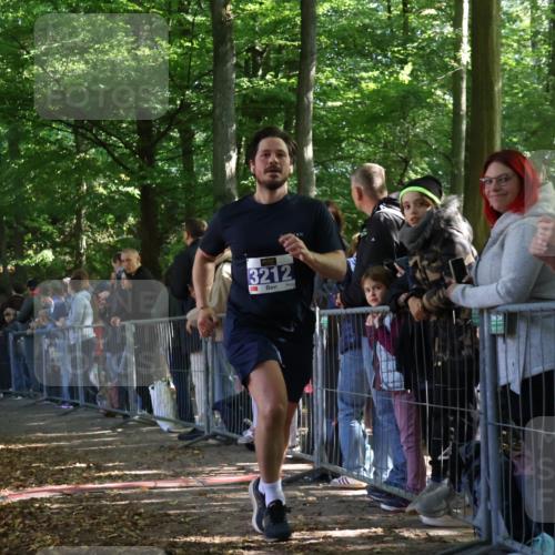 28.09.2025 - 33. Volkslauf durch das schöne Alstertal Strokosch-Dieckow http://msf.ph/oto/8965582 28.09.2025 11:26:37 Ziel 1506, 3212 meine-sportfotos.de