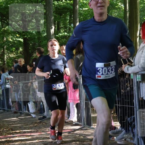 28.09.2025 - 33. Volkslauf durch das schöne Alstertal Strokosch-Dieckow http://msf.ph/oto/8965592 28.09.2025 11:26:49 Ziel 3033, 3116, 3210 meine-sportfotos.de